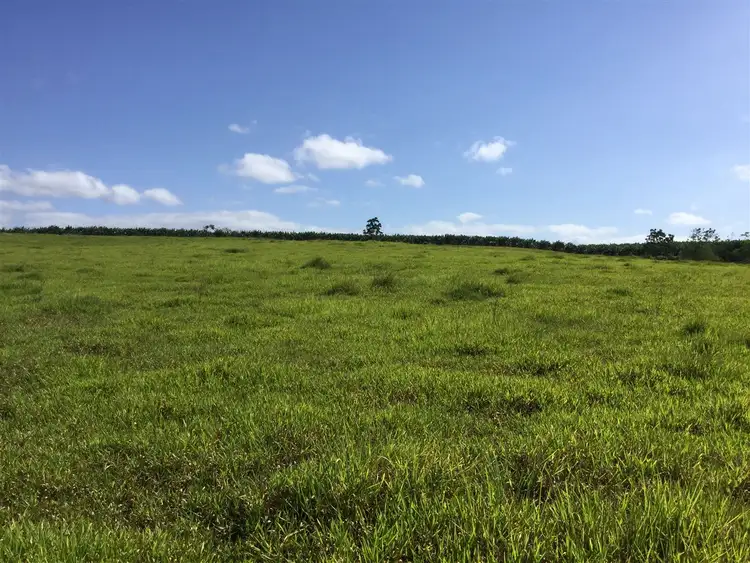 Third view of Homely rural property listing, Lot 9 Innisfail Japoon Road, Camp Creek QLD 4871