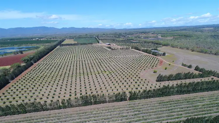 Main view of Homely rural property listing, 3 Hansen Road, Walkamin QLD 4872