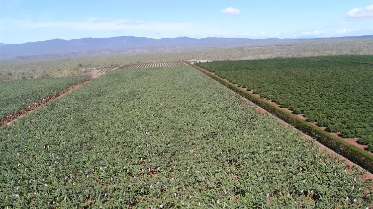 Second view of Homely rural property listing, 3 Hansen Road, Walkamin QLD 4872
