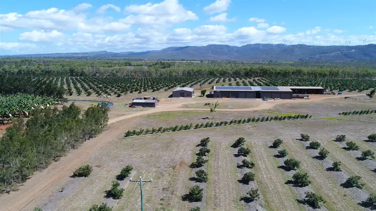 Third view of Homely rural property listing, 3 Hansen Road, Walkamin QLD 4872