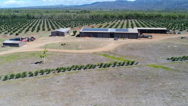 Seventh view of Homely rural property listing, 3 Hansen Road, Walkamin QLD 4872