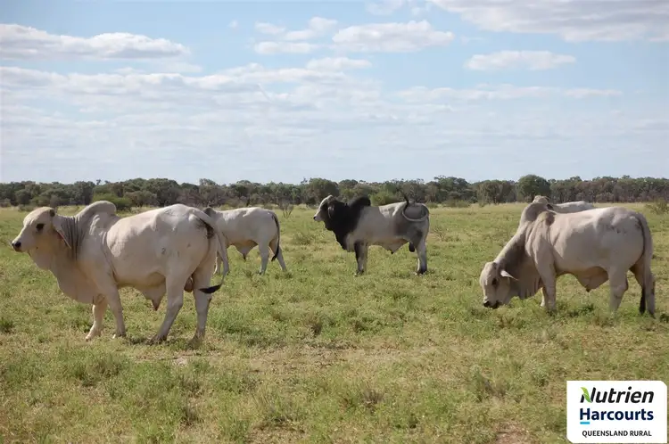 Third view of Homely rural property listing, 0 Landsborough Hwy, Mckinlay QLD 4823