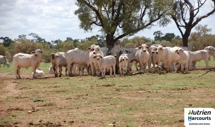 Fourth view of Homely rural property listing, 0 Landsborough Hwy, Mckinlay QLD 4823