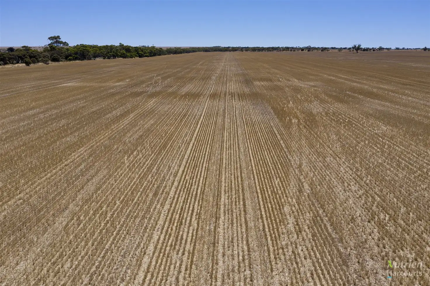 Main view of Homely rural property listing, Sect. 79W Yorke Highway, Curramulka SA 5580