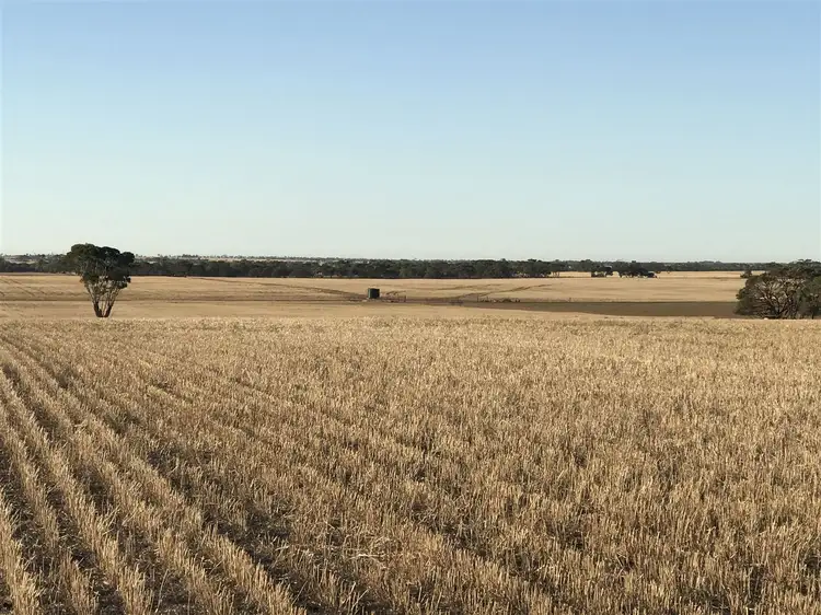 139 Willamulka Road,  Willamulka, Kadina SA 5554