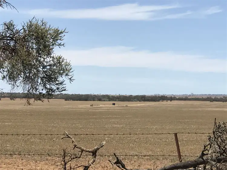 Third view of Homely rural property listing, 139 Willamulka Road, Willamulka, Kadina SA 5554