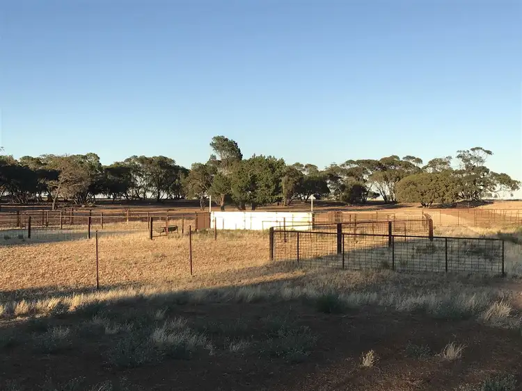 Fifth view of Homely rural property listing, 139 Willamulka Road, Willamulka, Kadina SA 5554