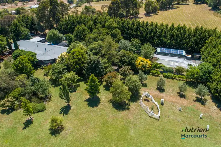 Third view of Homely rural property listing, 6 Seal Rock Road, Buxton VIC 3711