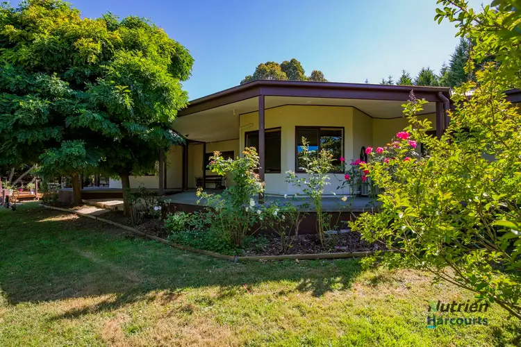 Sixth view of Homely rural property listing, 6 Seal Rock Road, Buxton VIC 3711