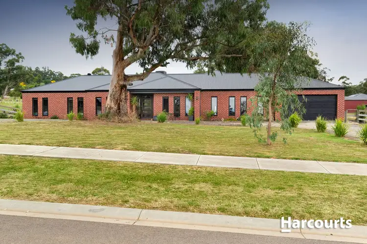 Main view of Homely house listing, 11 Amelia Court, Drouin VIC 3818