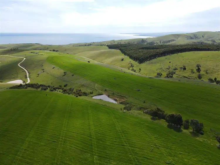 Second view of Homely rural property listing, 356 Forktree Road, Carrickalinga SA 5204