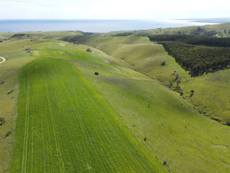 Sixth view of Homely rural property listing, 356 Forktree Road, Carrickalinga SA 5204