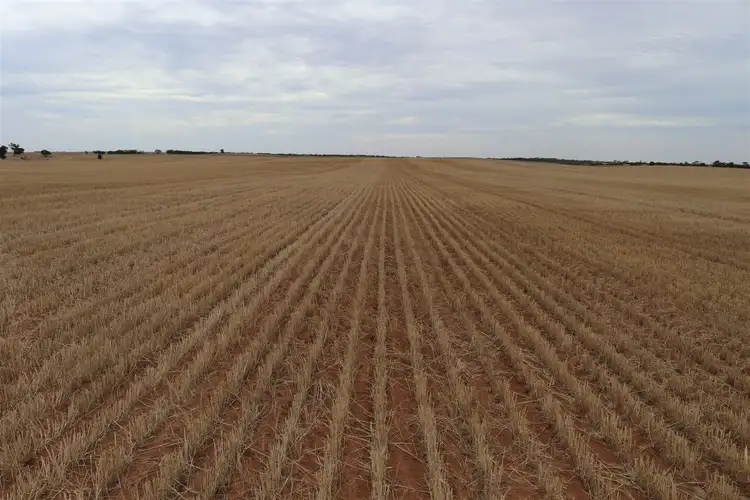 Second view of Homely rural property listing, . Murrayville Nth Road, Murrayville VIC 3512