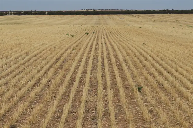Fourth view of Homely rural property listing, . Murrayville Nth Road, Murrayville VIC 3512