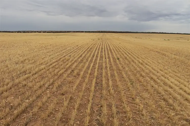 Fifth view of Homely rural property listing, . Murrayville Nth Road, Murrayville VIC 3512