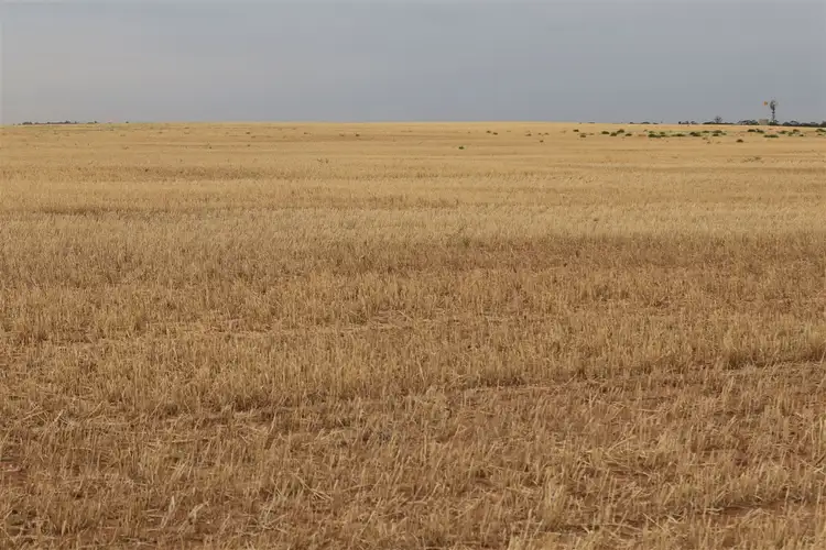 Sixth view of Homely rural property listing, . Murrayville Nth Road, Murrayville VIC 3512