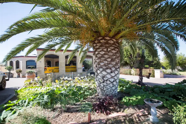 Fourth view of Homely house listing, 43 Walmsley St, Castletown WA 6450