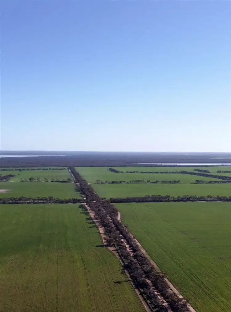 1982 Salmon Gums West Rd, Salmon Gums WA 6445