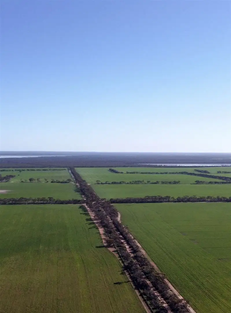 Main view of Homely rural property listing, 1982 Salmon Gums West Rd, Salmon Gums WA 6445