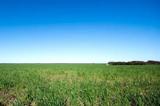 Third view of Homely rural property listing, 1982 Salmon Gums West Rd, Salmon Gums WA 6445