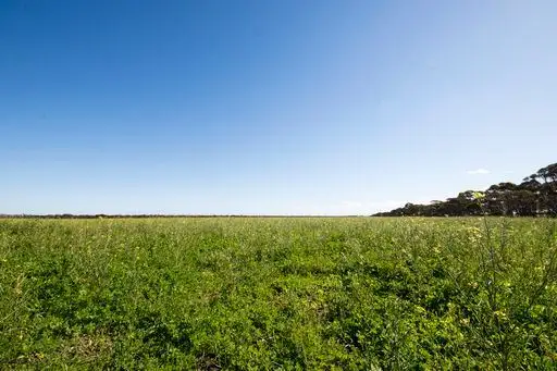 Fifth view of Homely rural property listing, 1982 Salmon Gums West Rd, Salmon Gums WA 6445