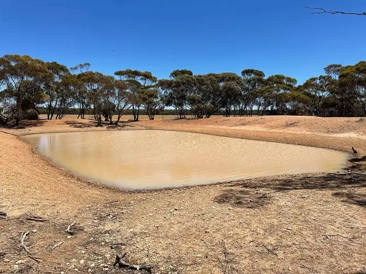 Seventh view of Homely rural property listing, 1982 Salmon Gums West Rd, Salmon Gums WA 6445