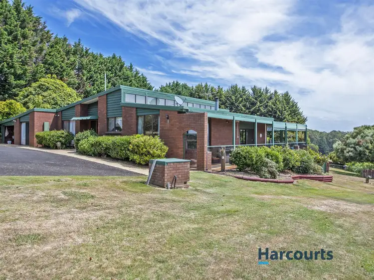 238 Ironcliffe Road, Penguin TAS 7316
