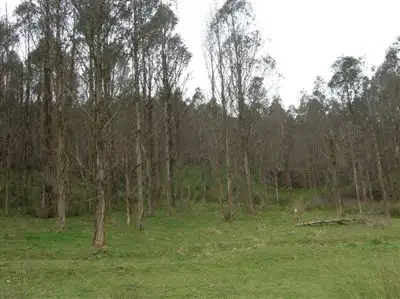 Fifth view of Homely rural property listing, 35530 Tasman Highway, Scottsdale TAS 7260