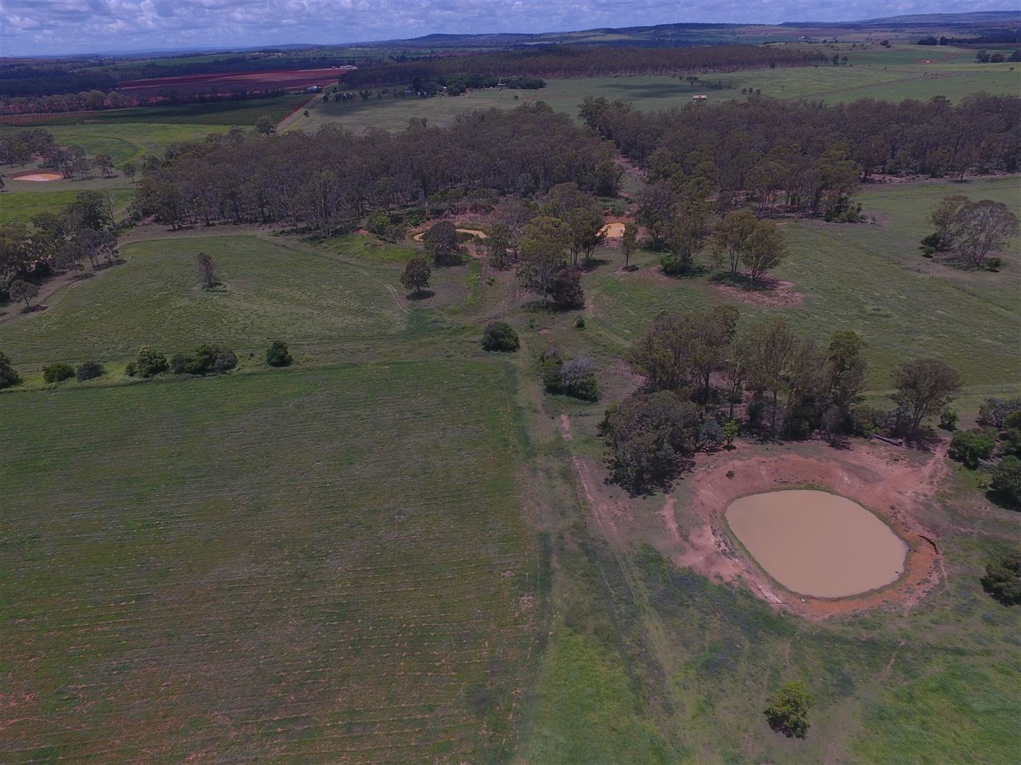 Seventh view of Homely rural property listing, 299 Cants Road, Wooroolin QLD 4608