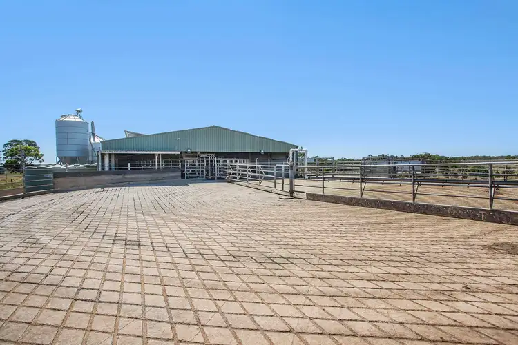 Fifth view of Homely rural property listing, 239 Carpendeit - Bungador Rd, Carpendeit VIC 3260