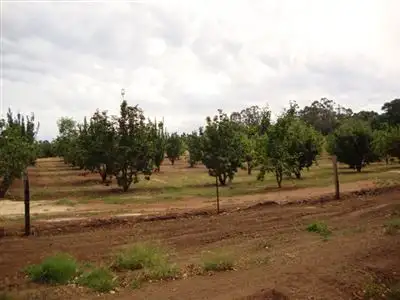 Fourth view of Homely land listing, 5 Mottram Street, Bridgetown WA 6255