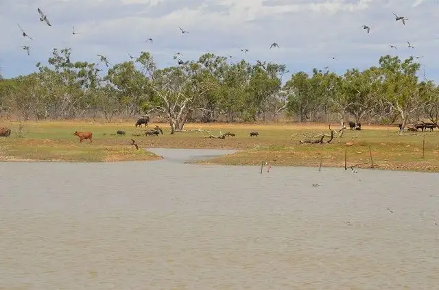 * Nardoo Station, Wanaaring NSW 2840