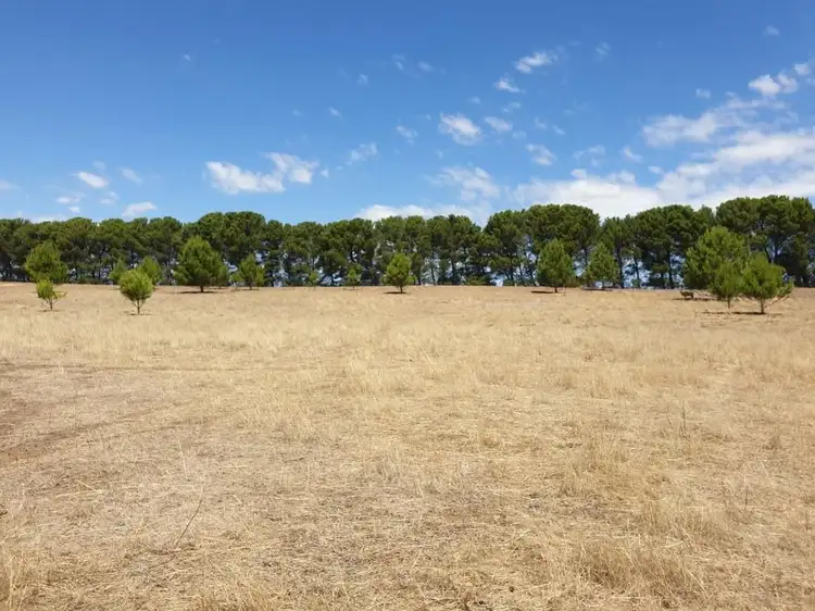 Third view of Homely rural property listing, Lot 52 Bruce Road, Karoonda SA 5307