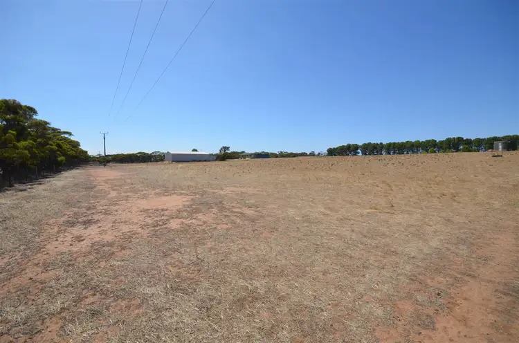 Sixth view of Homely rural property listing, Lot 52 Bruce Road, Karoonda SA 5307