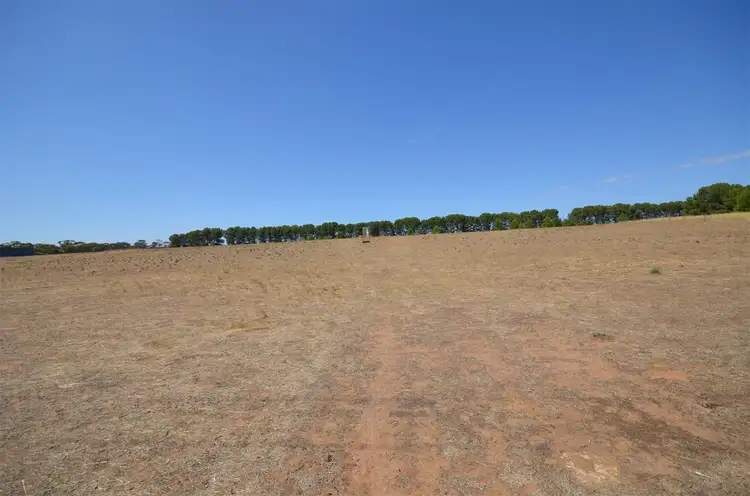 Seventh view of Homely rural property listing, Lot 52 Bruce Road, Karoonda SA 5307