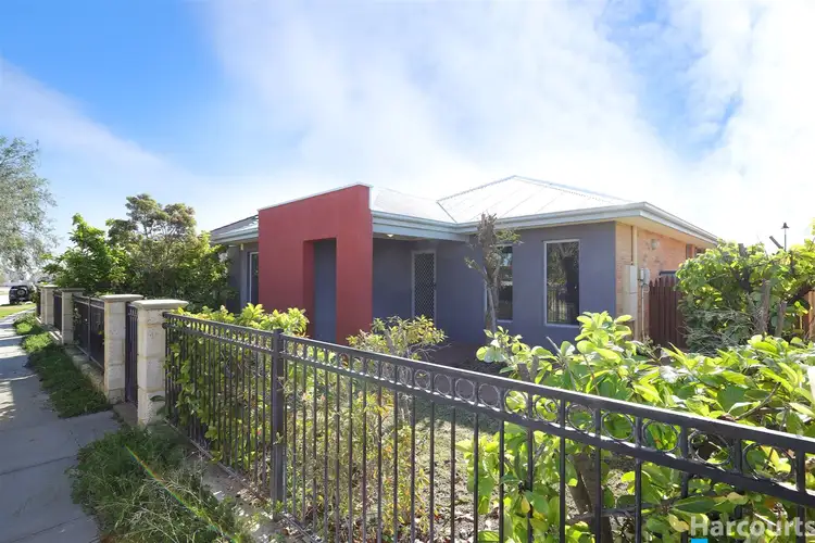 36 Costelloe Gardens, Butler WA 6036