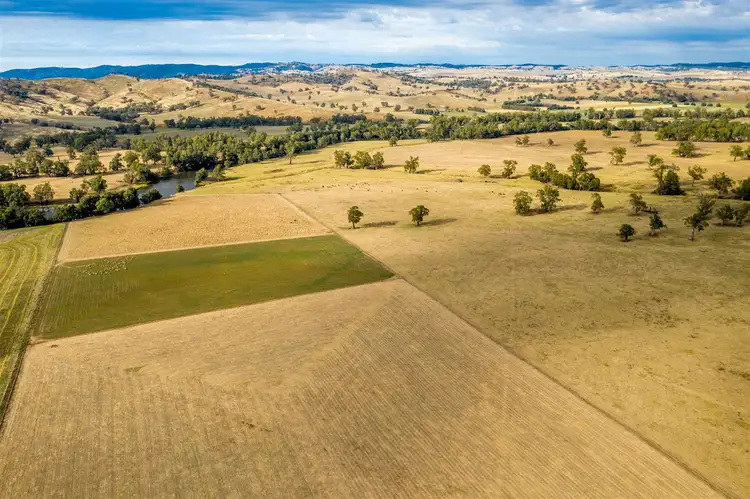 Third view of Homely rural property listing, Whiteofmorn Nangus Road, Gundagai NSW 2722