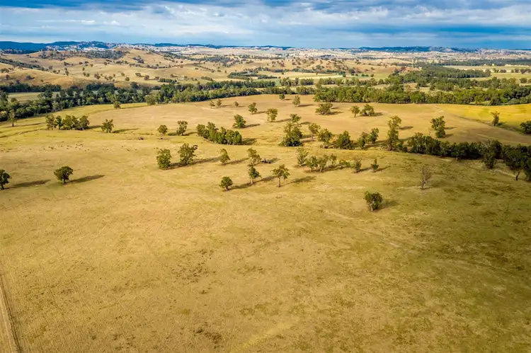 Fifth view of Homely rural property listing, Whiteofmorn Nangus Road, Gundagai NSW 2722