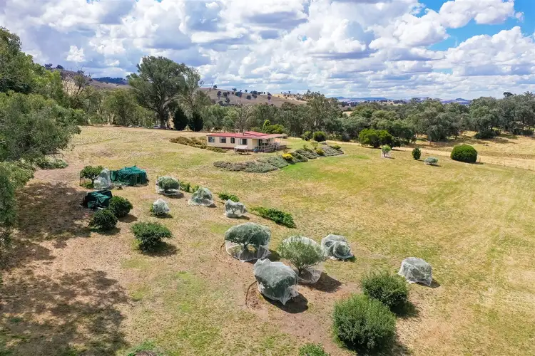Fifth view of Homely rural property listing, 444 Talgarno Gap Road, Talgarno VIC 3691