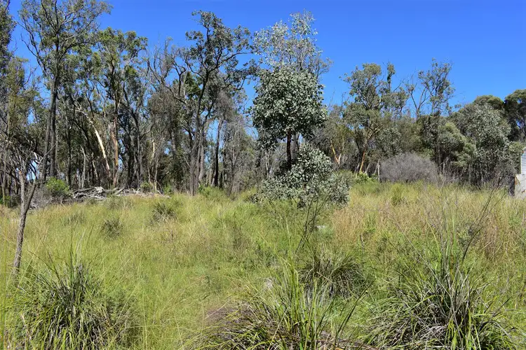 Main view of Homely rural property listing, Lot 122 Bruxner Way, Tenterfield NSW 2372