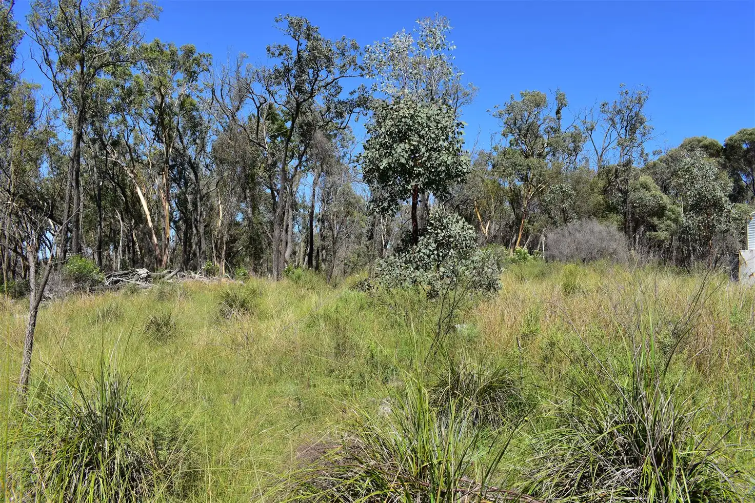 Main view of Homely rural property listing, Lot 122 Bruxner Way, Tenterfield NSW 2372