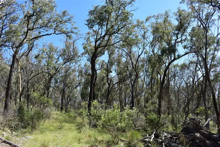 Second view of Homely rural property listing, Lot 122 Bruxner Way, Tenterfield NSW 2372