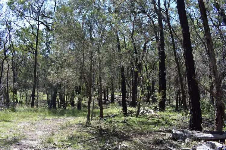Third view of Homely rural property listing, Lot 122 Bruxner Way, Tenterfield NSW 2372