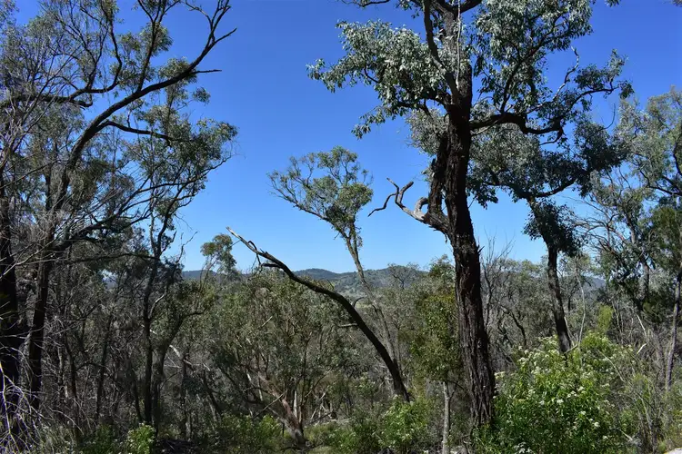 Fourth view of Homely rural property listing, Lot 122 Bruxner Way, Tenterfield NSW 2372