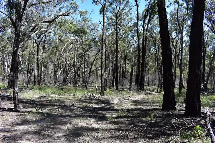 Fifth view of Homely rural property listing, Lot 122 Bruxner Way, Tenterfield NSW 2372