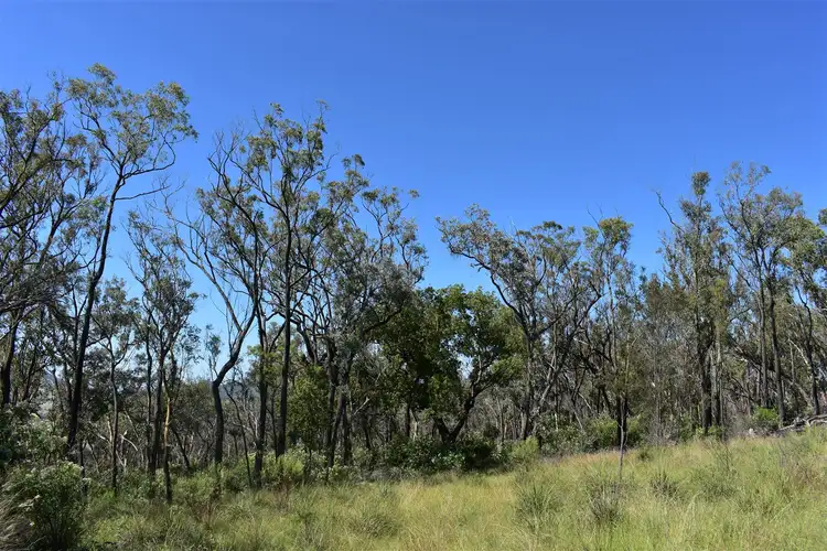 Sixth view of Homely rural property listing, Lot 122 Bruxner Way, Tenterfield NSW 2372