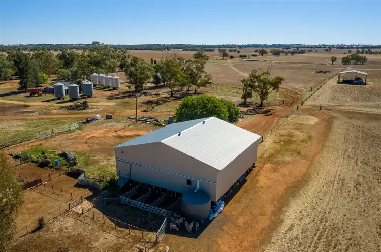 Fourth view of Homely rural property listing, 'Iowa' 88 Carters Lane, Henty NSW 2658