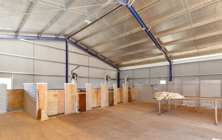 Fifth view of Homely rural property listing, 'Iowa' 88 Carters Lane, Henty NSW 2658