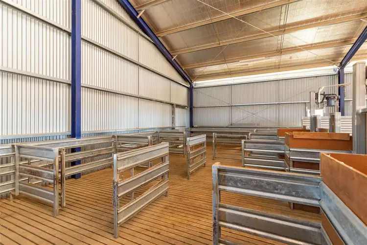 Sixth view of Homely rural property listing, 'Iowa' 88 Carters Lane, Henty NSW 2658