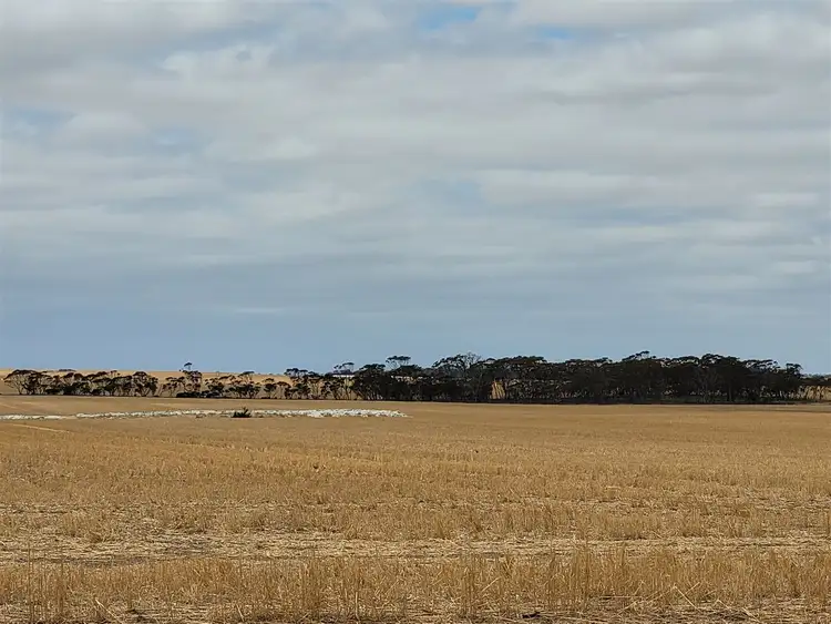 Second view of Homely rural property listing, ' Rosebrook', Nyabing WA 6341